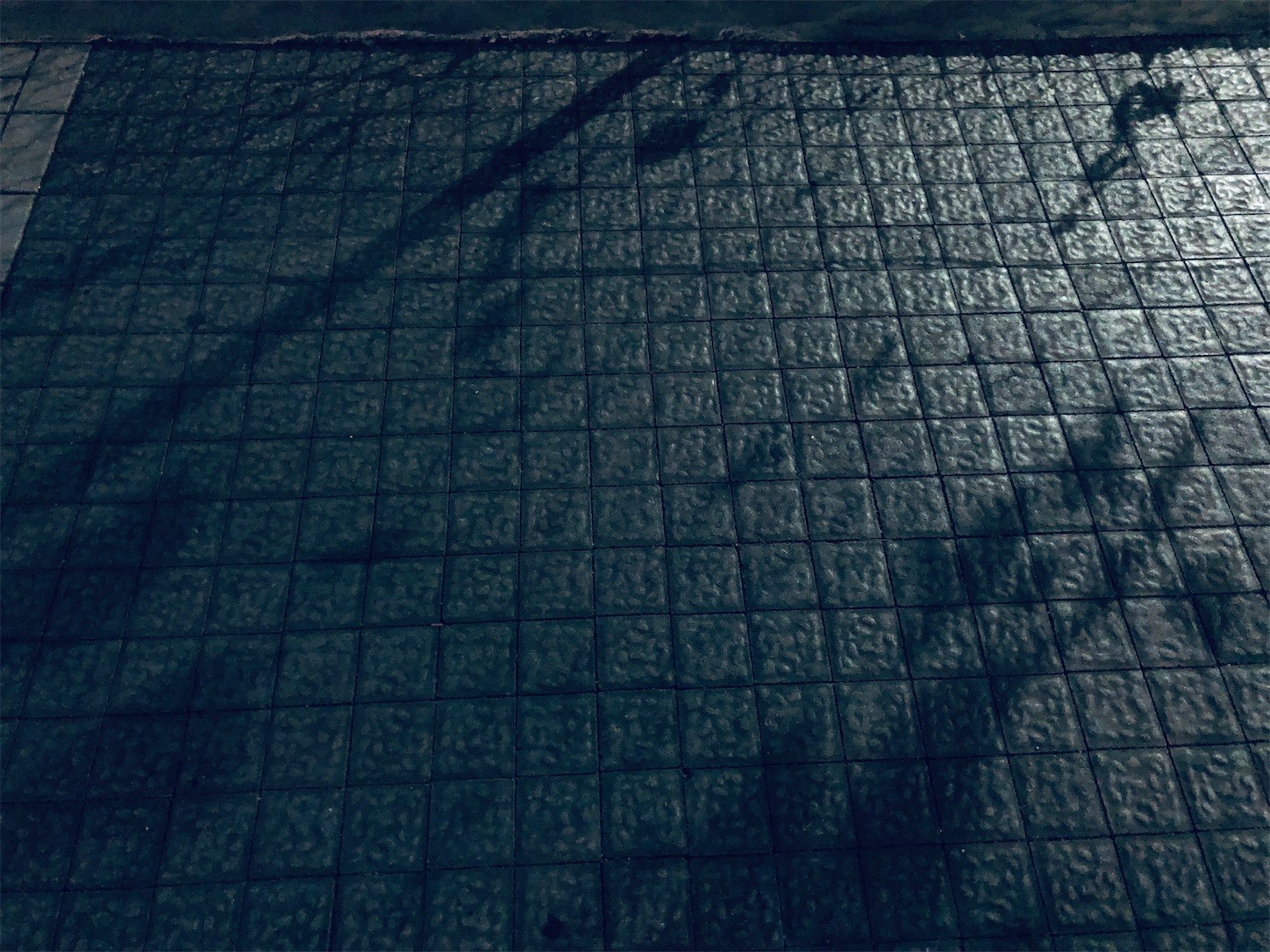 f:id:swordfish-002:20221206200446j:image f:id:swordfish-002:20221206200446j:image