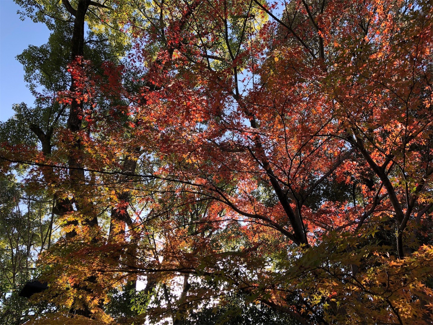 f:id:swordfish-002:20221209151347j:image f:id:swordfish-002:20221209151347j:image