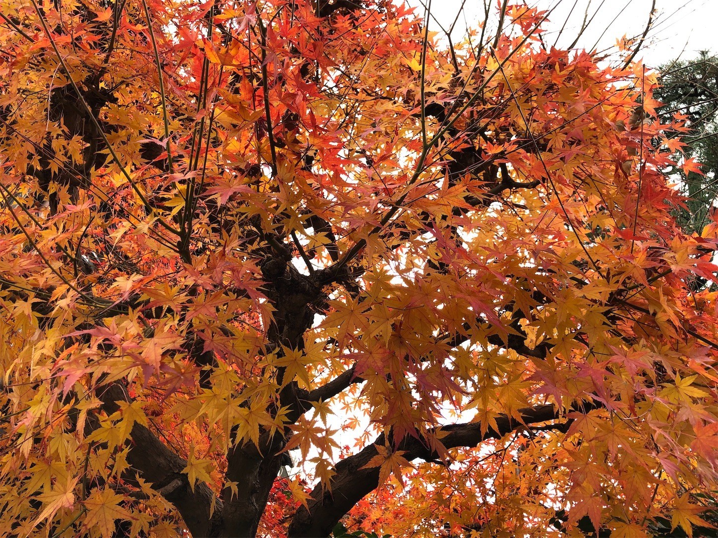 f:id:swordfish-002:20221215173015j:image f:id:swordfish-002:20221215173015j:image