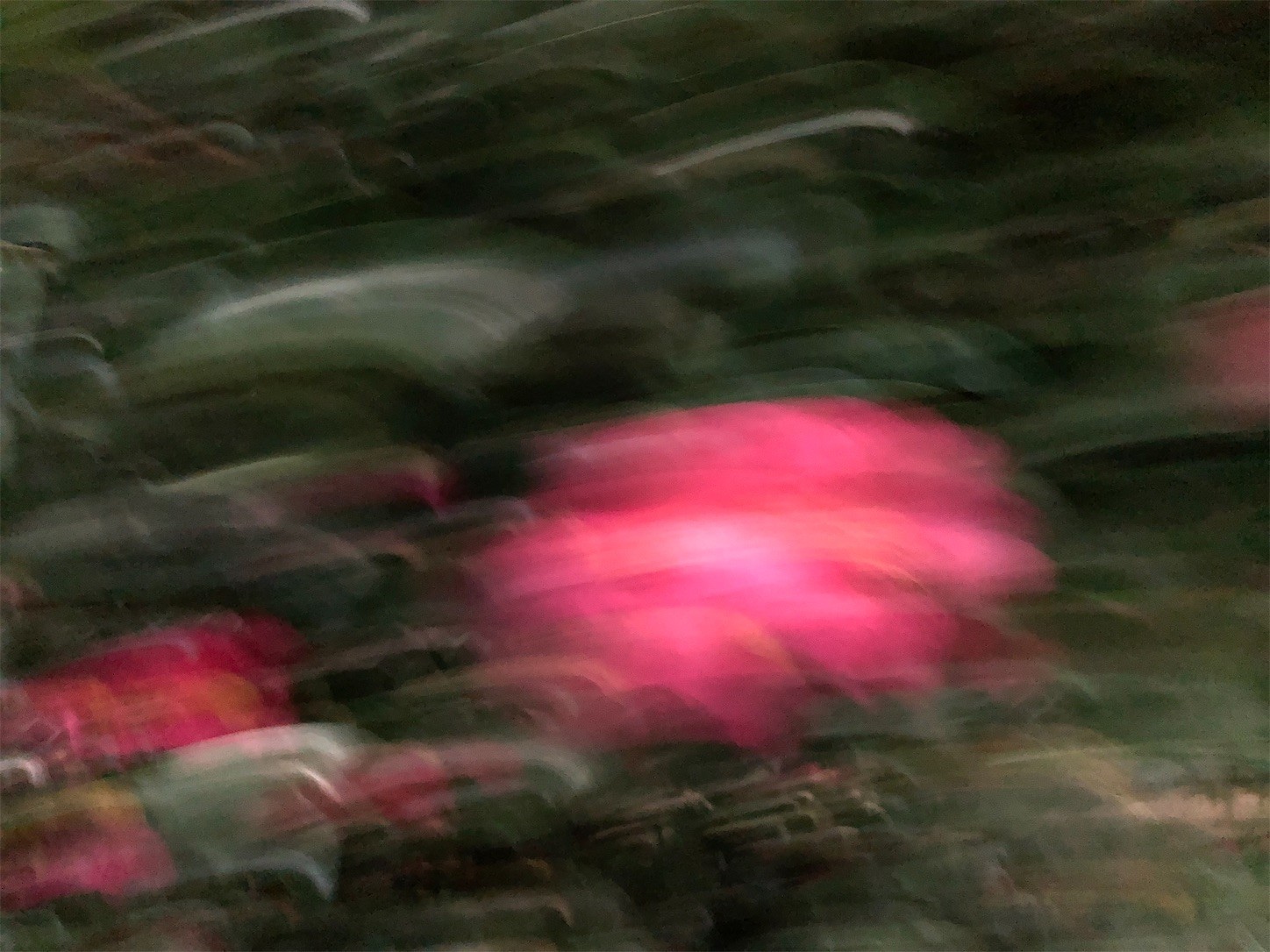 f:id:swordfish-002:20221222152808j:image f:id:swordfish-002:20221222152808j:image