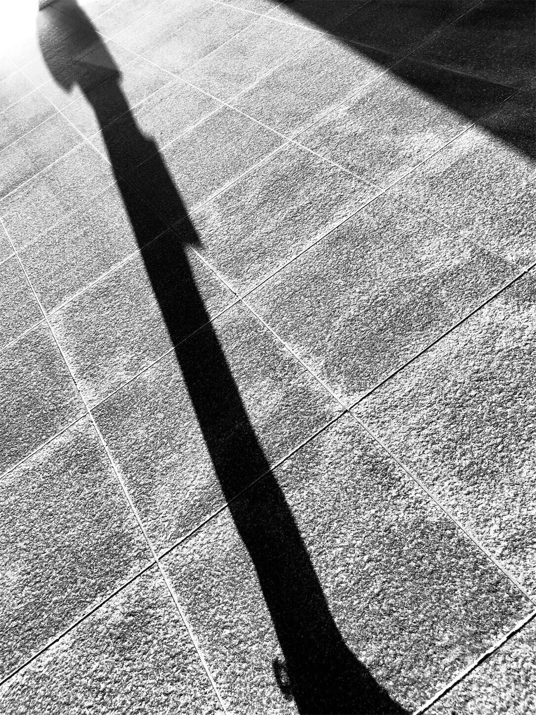 f:id:swordfish-002:20230502174847j:image f:id:swordfish-002:20230502174847j:image