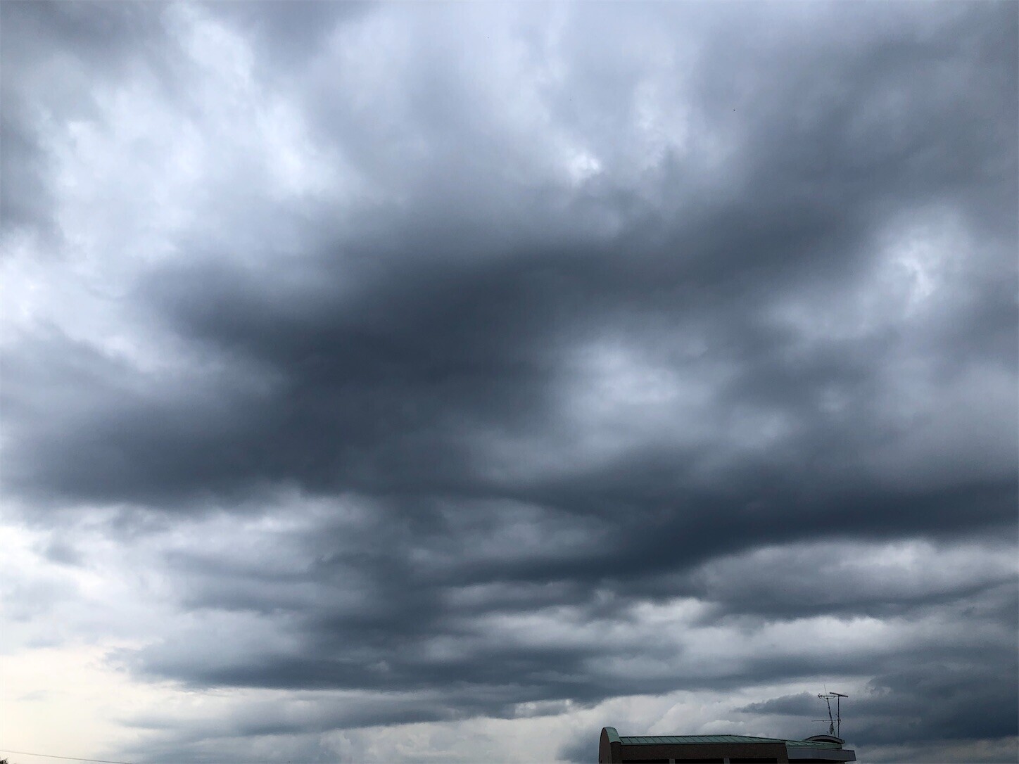 f:id:swordfish-002:20230613173811j:image f:id:swordfish-002:20230613173811j:image