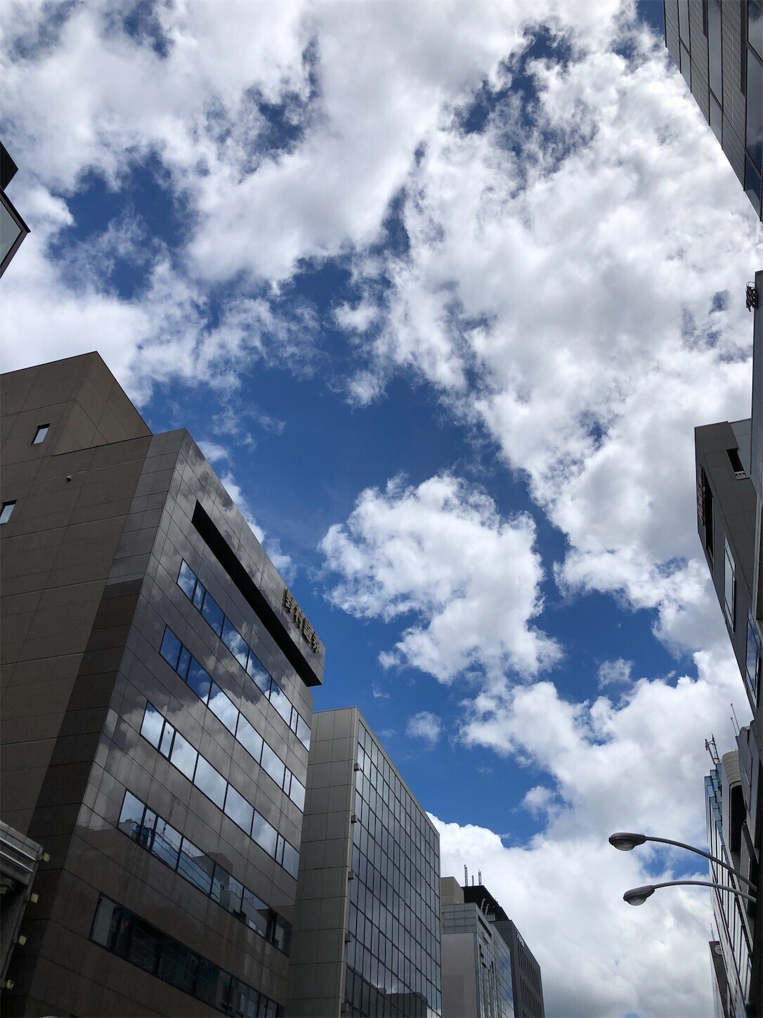 f:id:swordfish-002:20230822182418j:image f:id:swordfish-002:20230822182418j:image