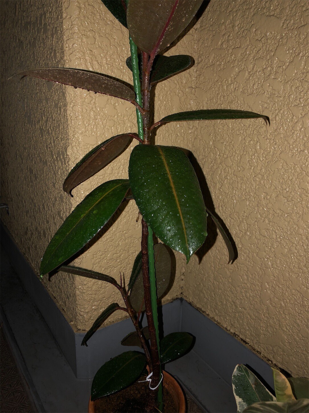 f:id:swordfish-002:20230823180906j:image