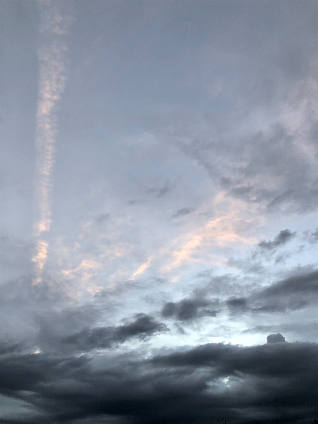 f:id:swordfish-002:20230831185121j:image f:id:swordfish-002:20230831185121j:image