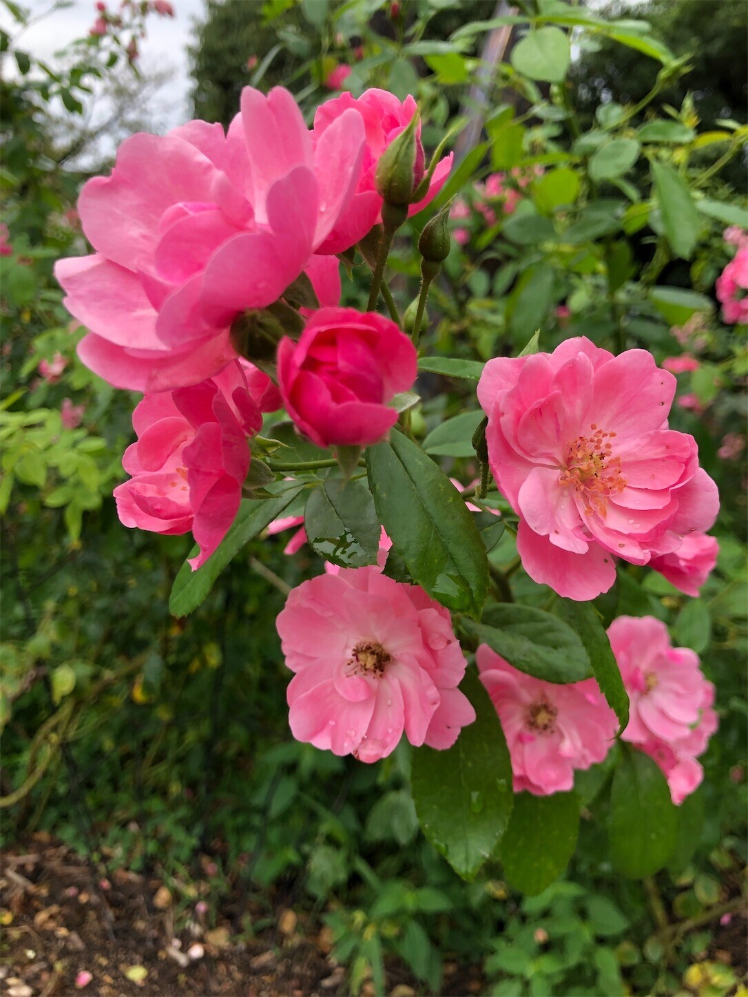 f:id:swordfish-002:20231001192220j:image f:id:swordfish-002:20231001192220j:image