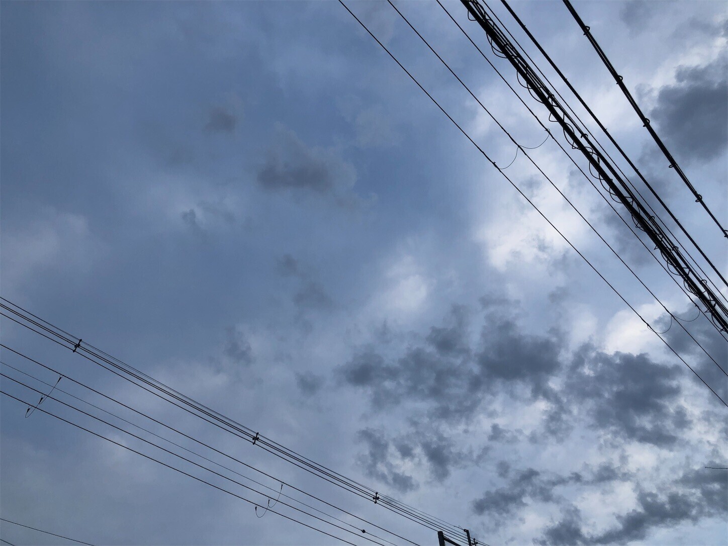 f:id:swordfish-002:20231205193452j:image f:id:swordfish-002:20231205193452j:image