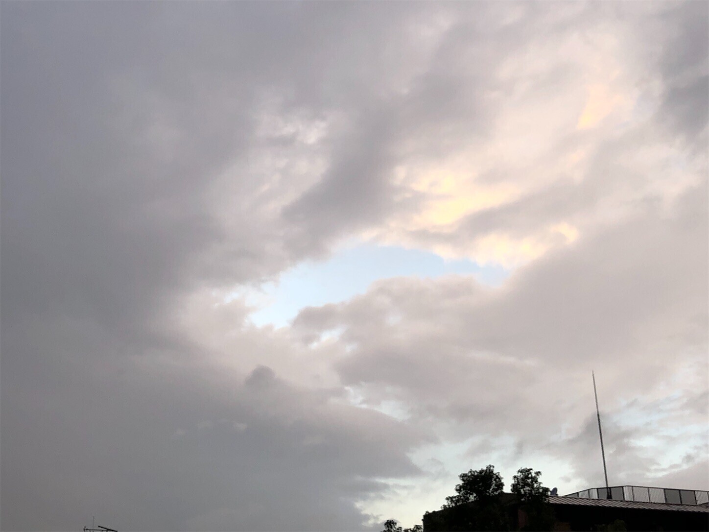 f:id:swordfish-002:20240219182944j:image f:id:swordfish-002:20240219182944j:image