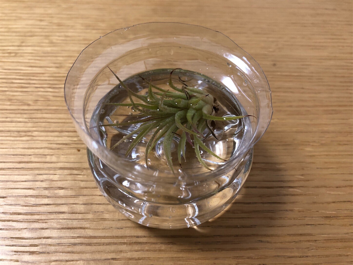 f:id:swordfish-002:20240309210631j:image f:id:swordfish-002:20240309210631j:image