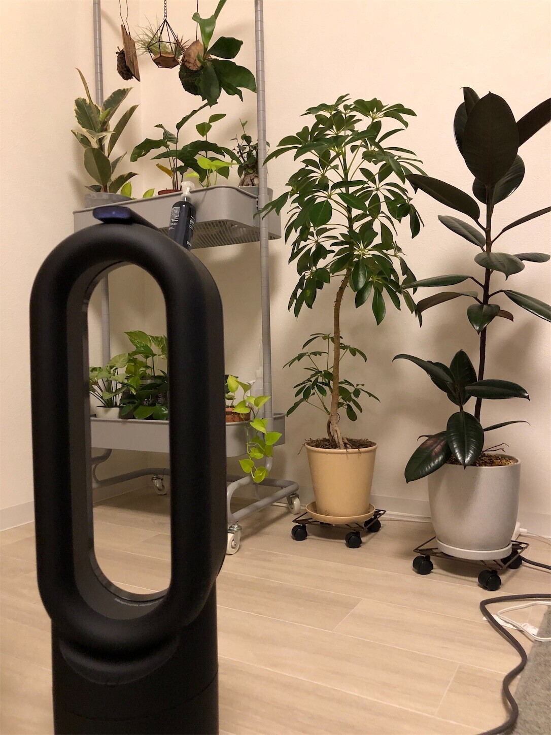 f:id:swordfish-002:20240423074036j:image f:id:swordfish-002:20240423074036j:image