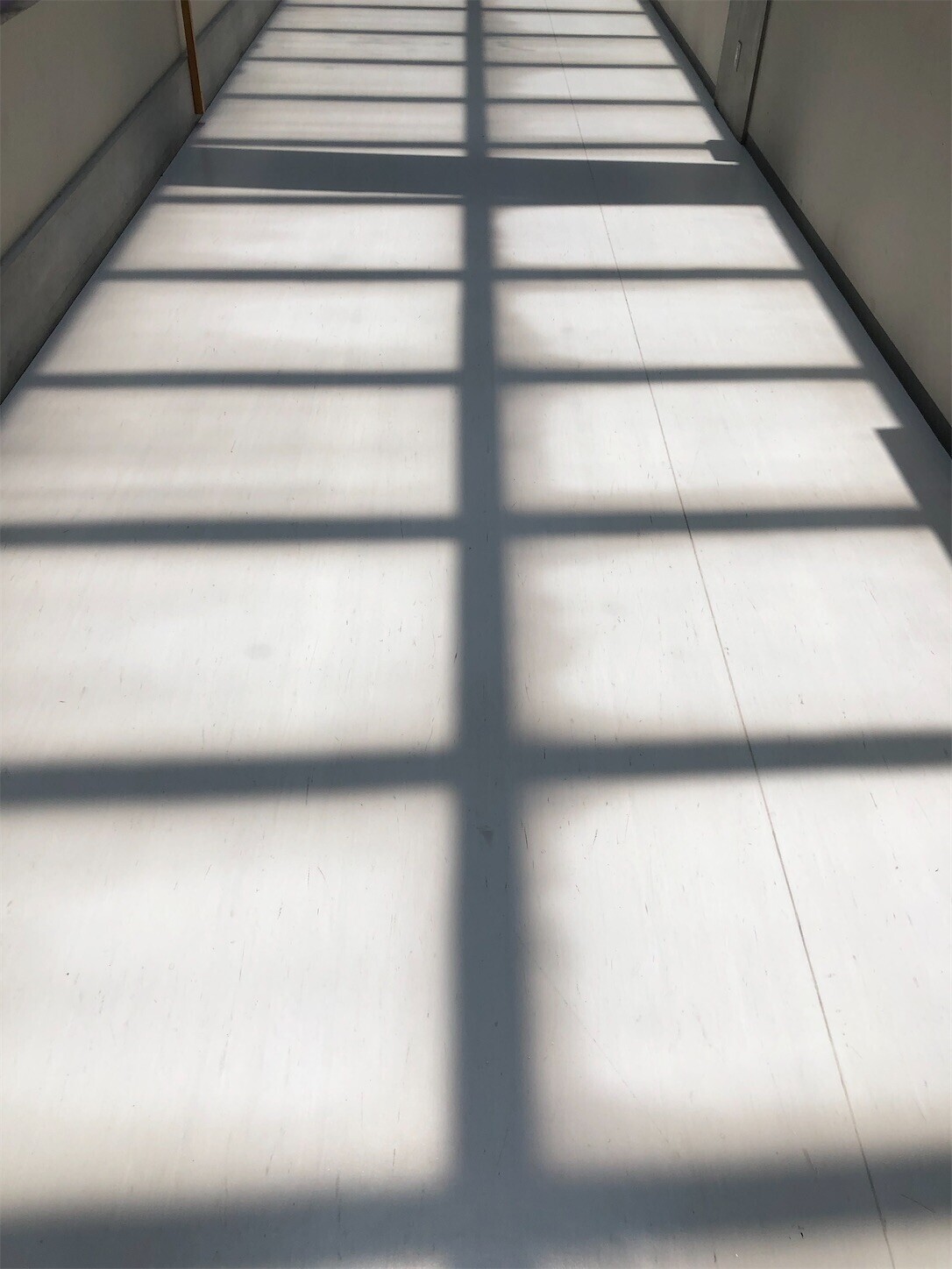 f:id:swordfish-002:20240612183056j:image f:id:swordfish-002:20240612183056j:image