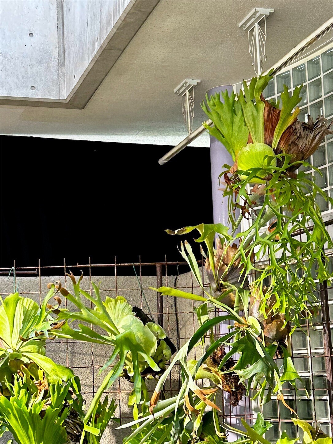 f:id:swordfish-002:20241025152915j:image