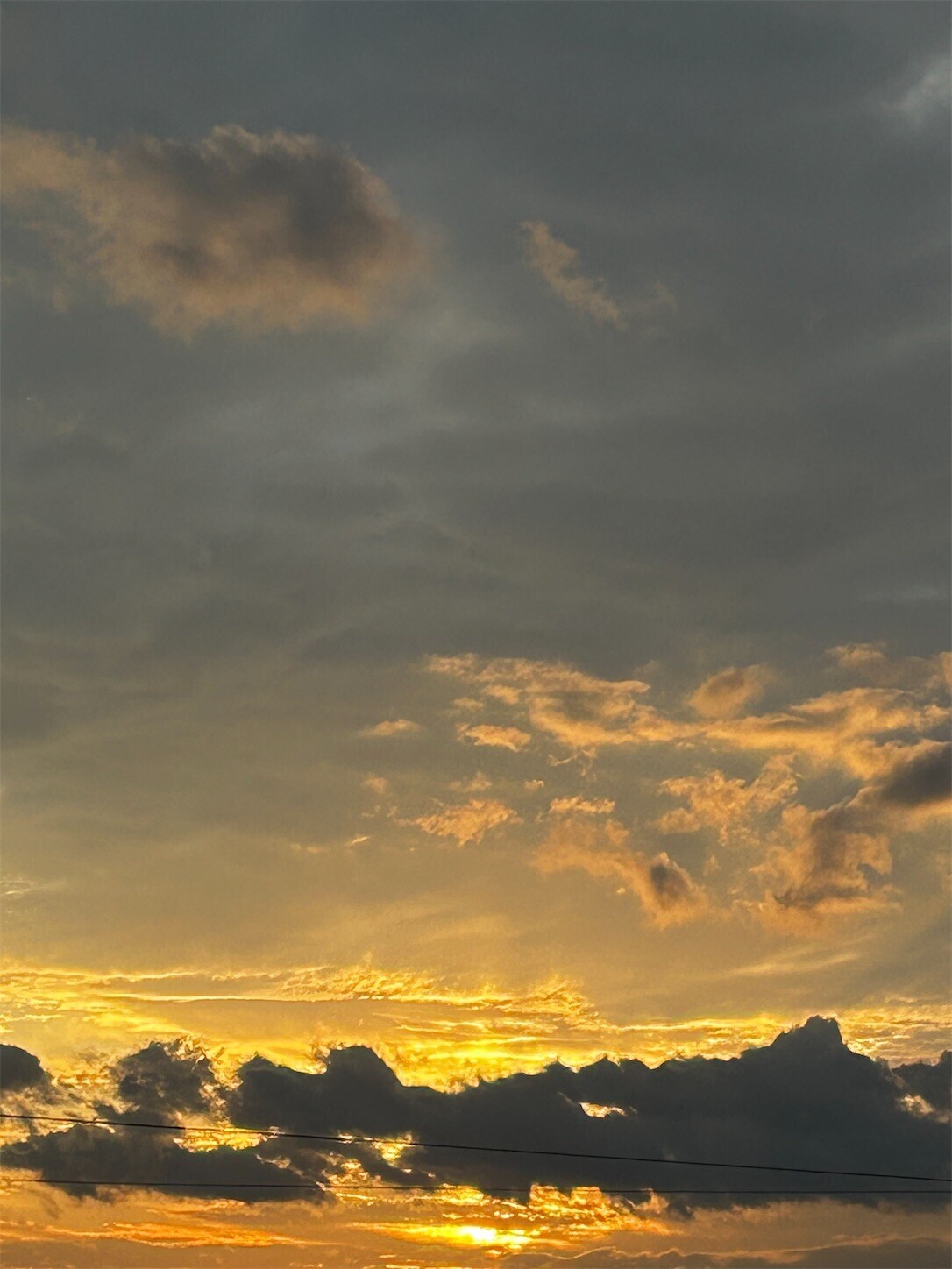 f:id:swordfish-002:20241028184555j:image