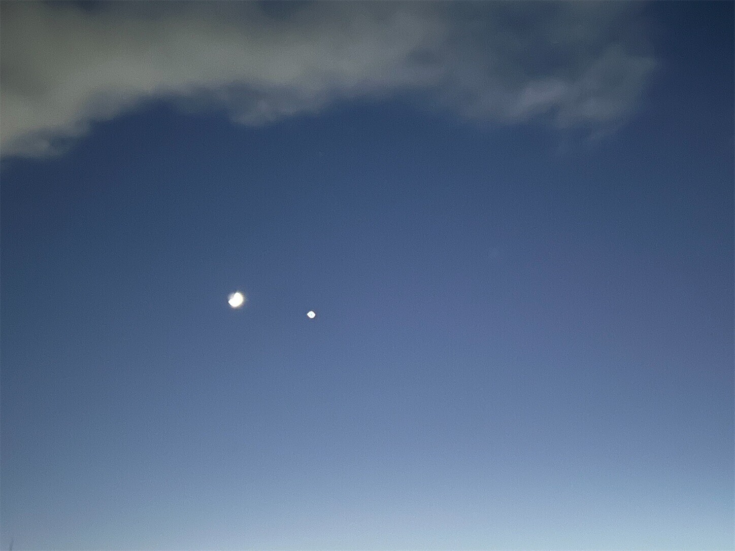 f:id:swordfish-002:20241205174647j:image