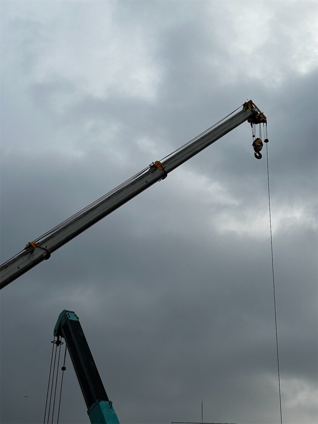 f:id:swordfish-002:20250115191541j:image f:id:swordfish-002:20250115191541j:image