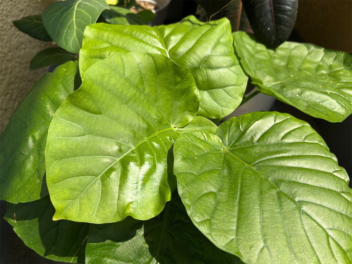 f:id:swordfish-002:20250825155321j:image f:id:swordfish-002:20250825155321j:image