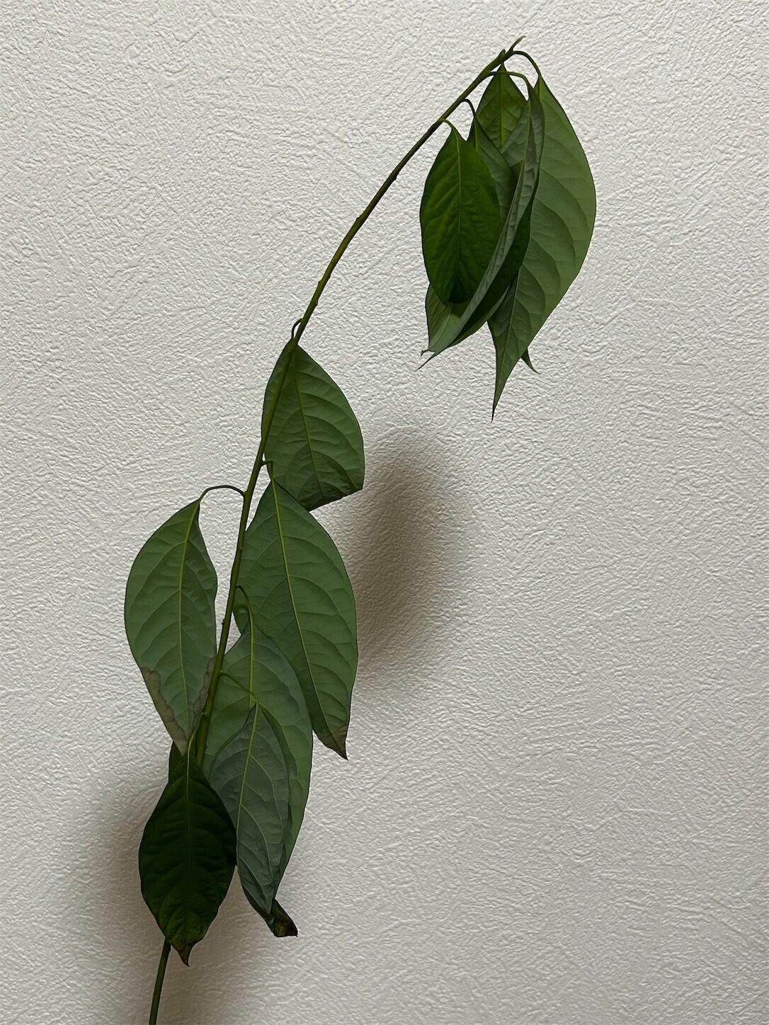 f:id:swordfish-002:20250831182646j:image f:id:swordfish-002:20250831182646j:image