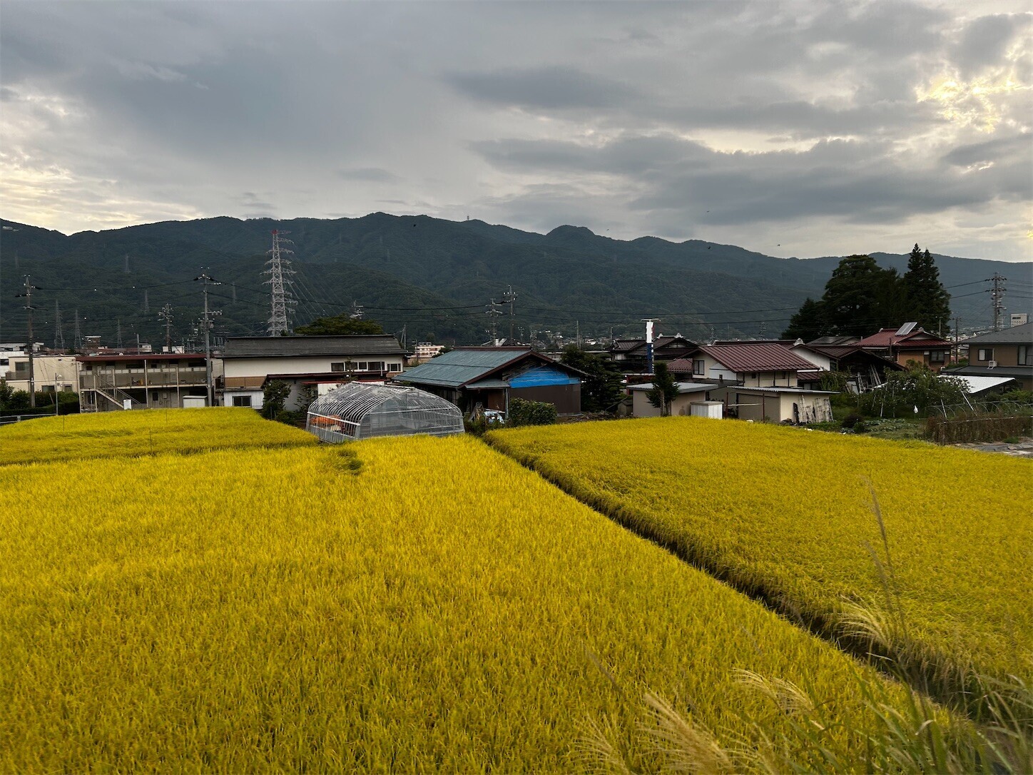 f:id:swordfish-002:20250908173234j:image f:id:swordfish-002:20250908173234j:image