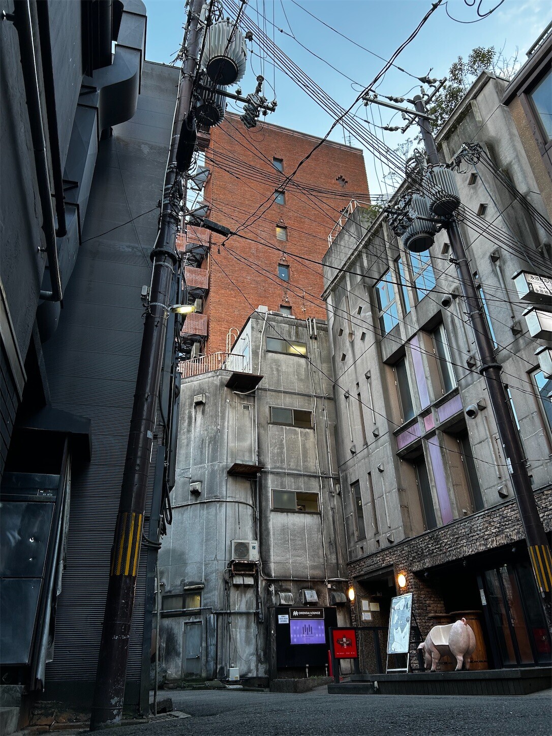 f:id:swordfish-002:20260107160821j:image f:id:swordfish-002:20260107160821j:image