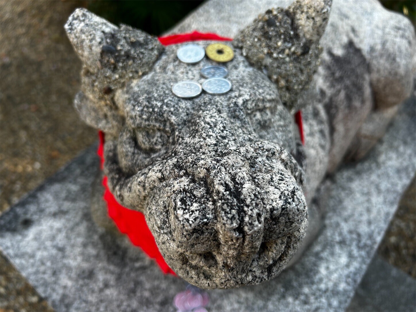 f:id:swordfish-002:20260110173502j:image f:id:swordfish-002:20260110173502j:image