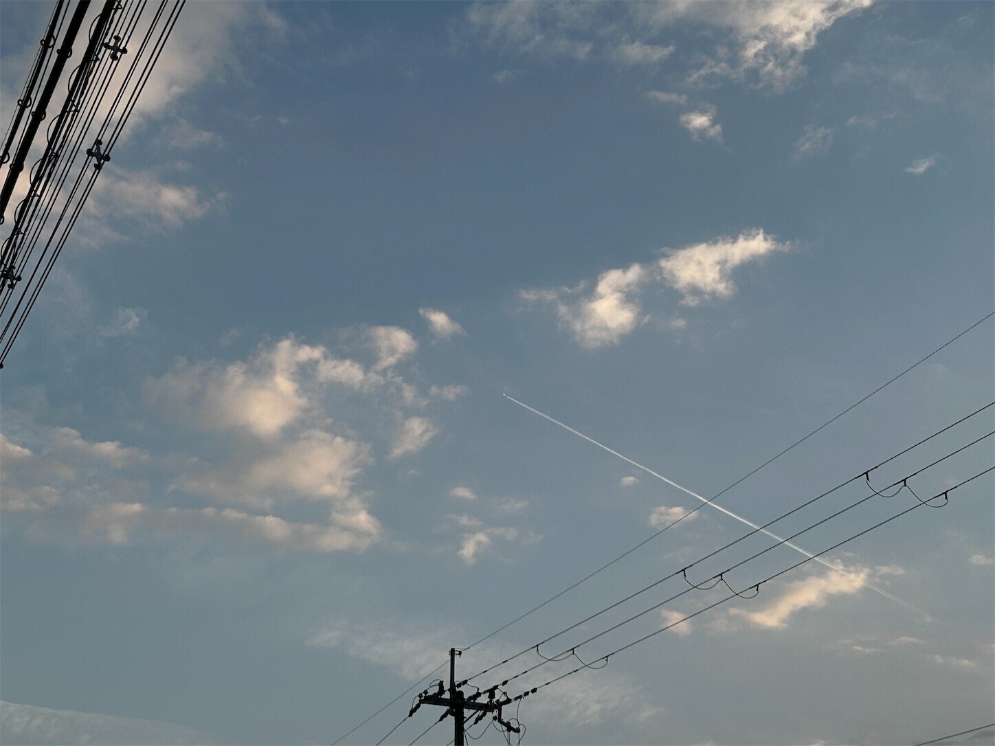 f:id:swordfish-002:20260613171107j:image f:id:swordfish-002:20260613171107j:image