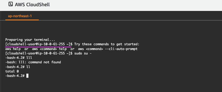 Aws Cloudshell で長時間の処理をするのはなかなか難しいという話 サーバーワークスエンジニアブログ