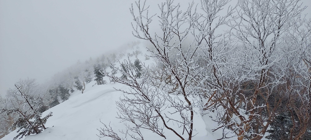 f:id:swx-yamamoto:20220407155835p:plain