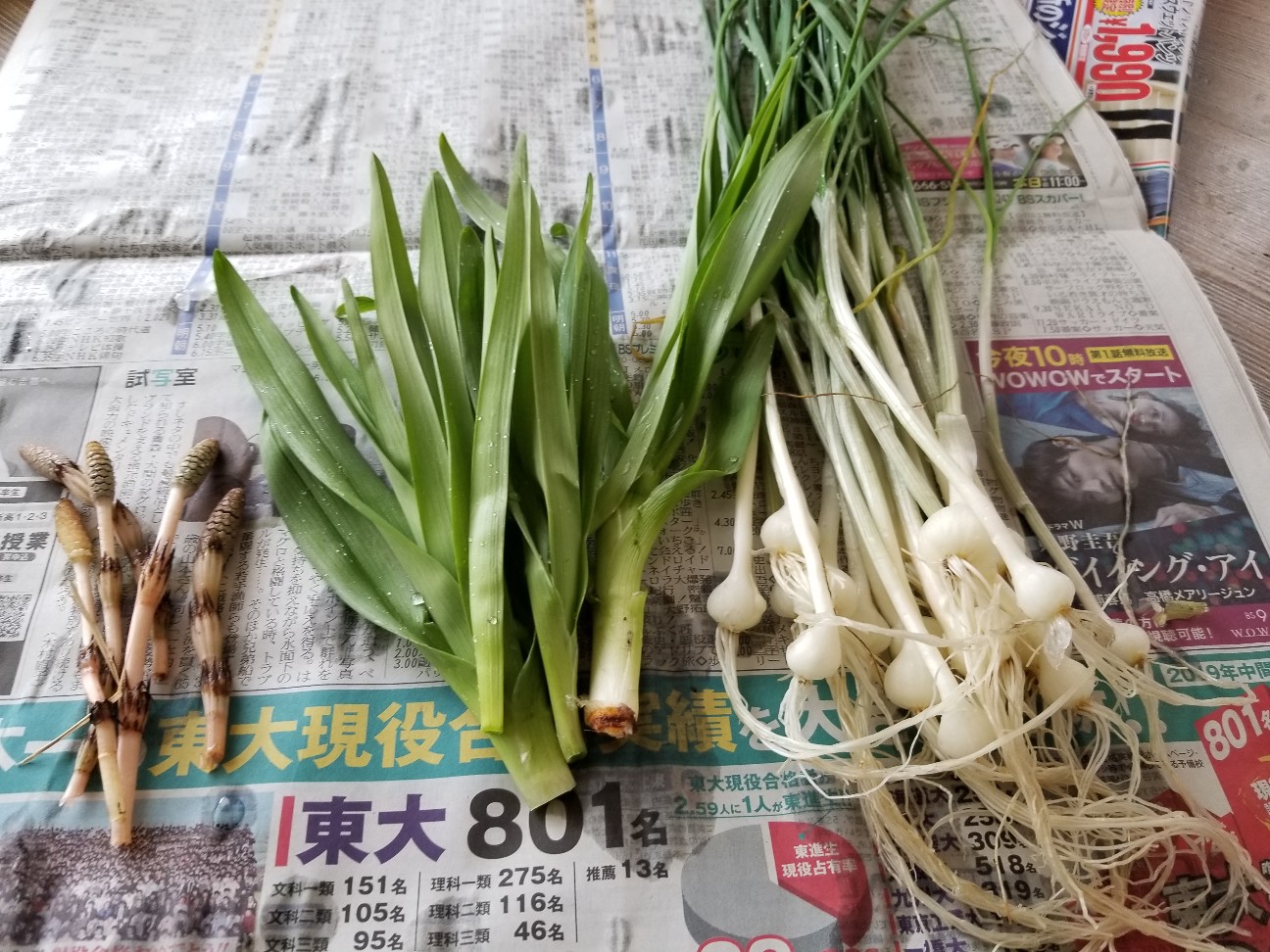 f:id:sy19910504:20190324082602j:image f:id:sy19910504:20190324082602j:image