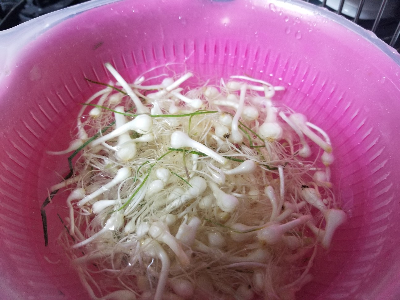 f:id:sy19910504:20190409125546j:image f:id:sy19910504:20190409125546j:image
