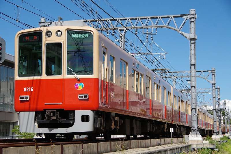 2025年7月20日 阪神8000系赤胴車を撮る - 直通特急の臨時停車