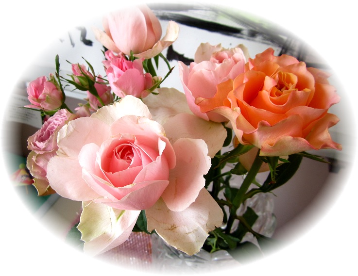 f:id:syabondama58:20190328212759j:plain:w450 f:id:syabondama58:20190328212759j:plain:w450