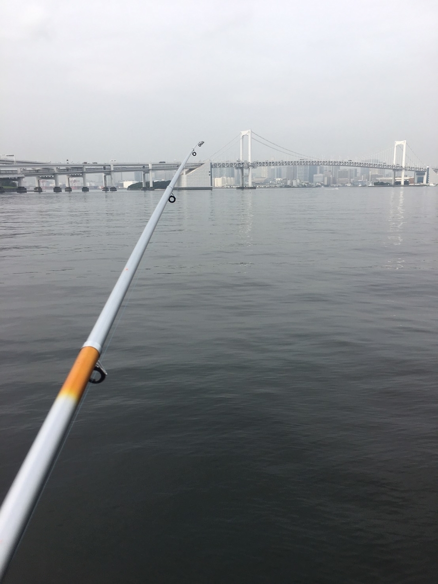f:id:syachi-blog:20190723010336j:plain f:id:syachi-blog:20190723010336j:plain