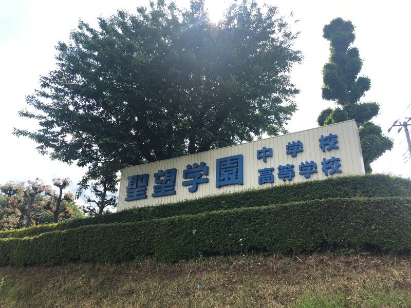 f:id:syado-ka-bi:20190515144247j:plain