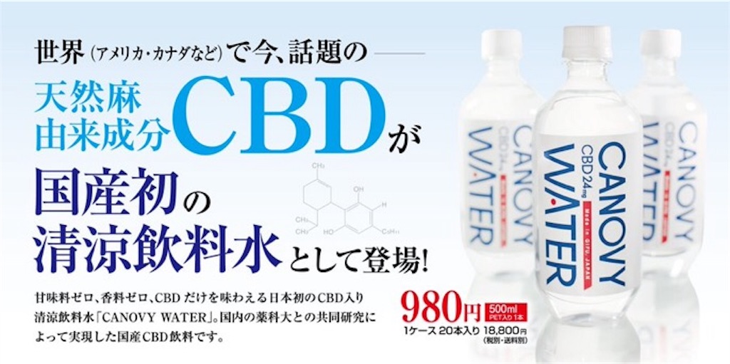 f:id:syakaiso:20190220183855j:image