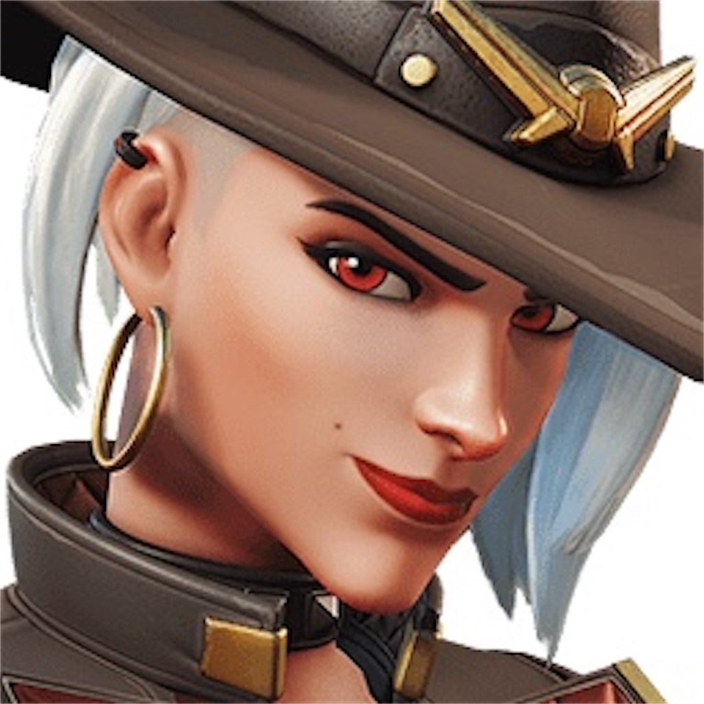 f:id:syakemaruOw:20230621135317j:image