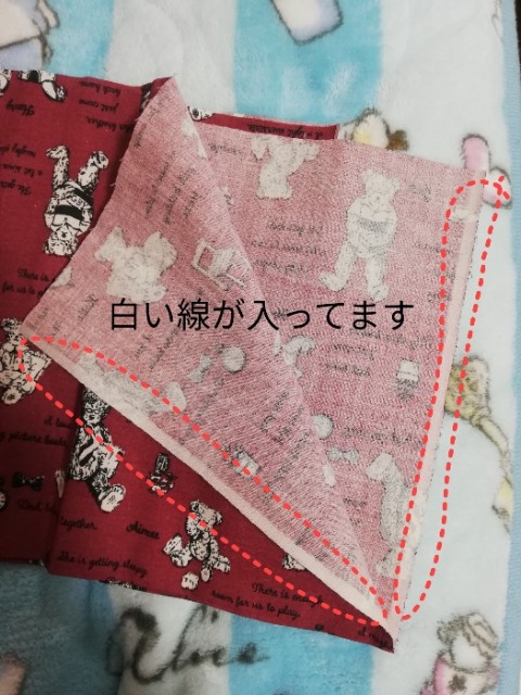 f:id:syaki_syaki:20210209173859j:image