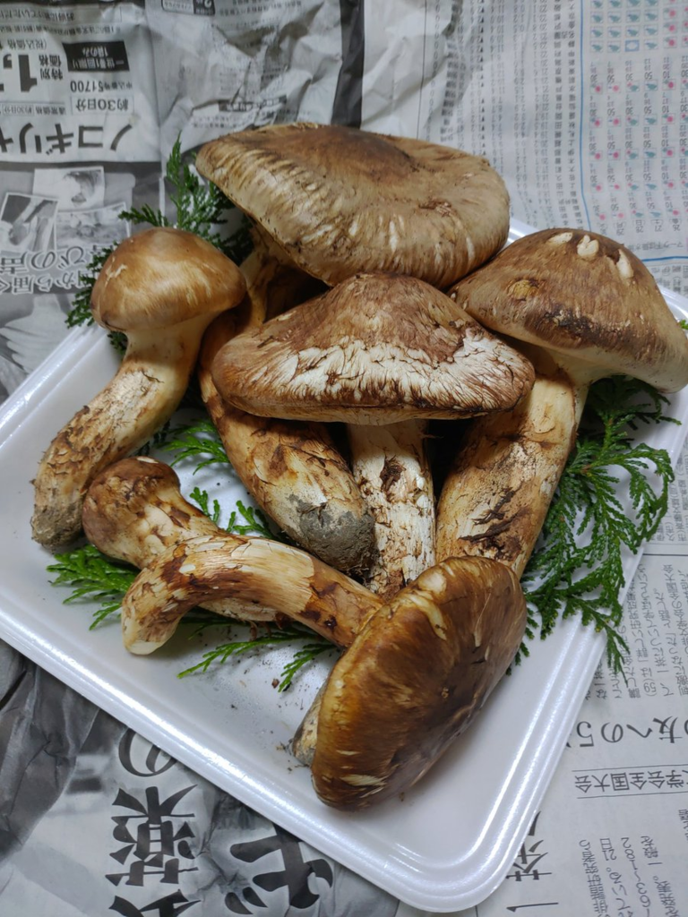 f:id:syakkin_dama:20181110183224p:plain