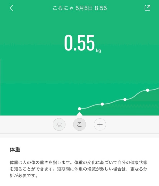 f:id:syakko:20200605152152j:plain f:id:syakko:20200605152152j:plain