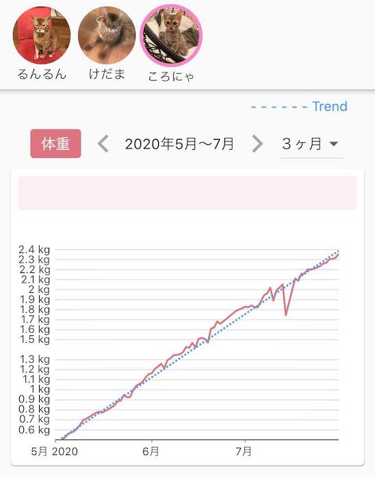 f:id:syakko:20200803175054j:plain:w354 f:id:syakko:20200803175054j:plain:w354