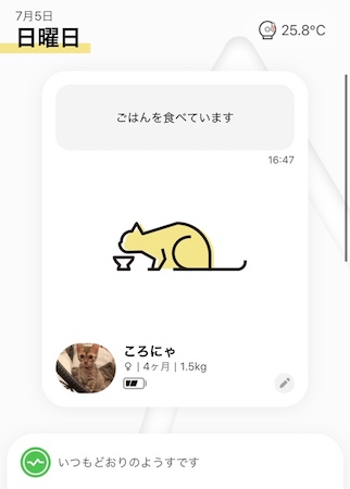 f:id:syakko:20200803181347j:plain f:id:syakko:20200803181347j:plain