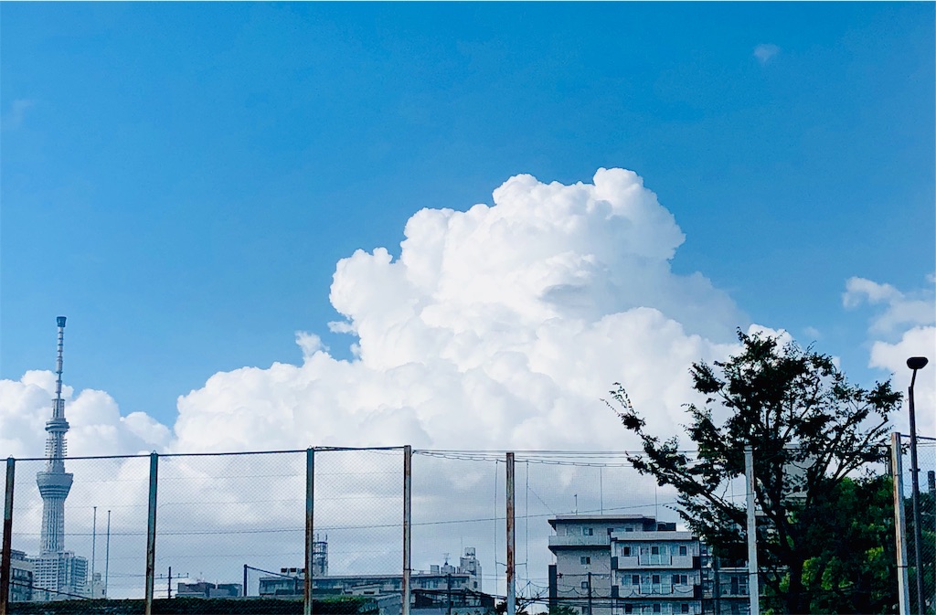 f:id:syako1117:20190927123505j:image f:id:syako1117:20190927123505j:image