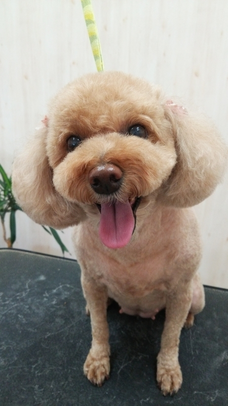 f:id:syakublo:20180905125703j:plain