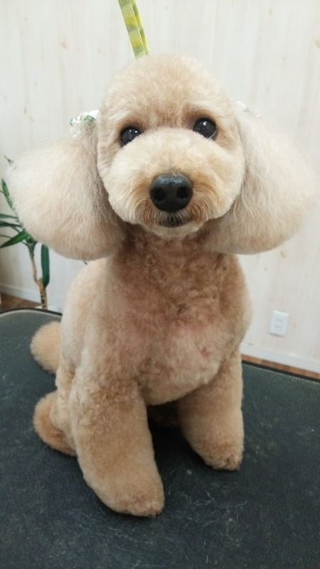 f:id:syakublo:20180905125713j:plain