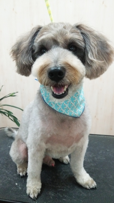 f:id:syakublo:20180905125730j:plain