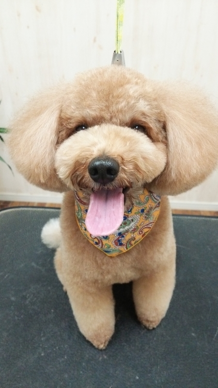 f:id:syakublo:20180925170138j:plain