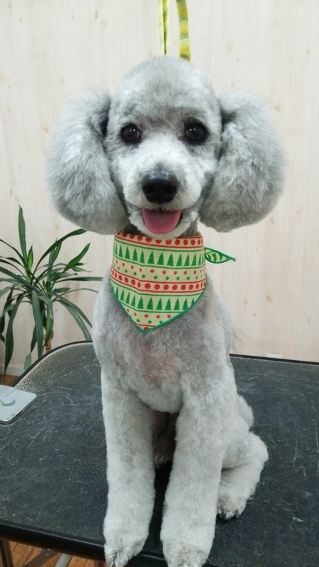 f:id:syakublo:20181220151113j:plain f:id:syakublo:20181220151113j:plain