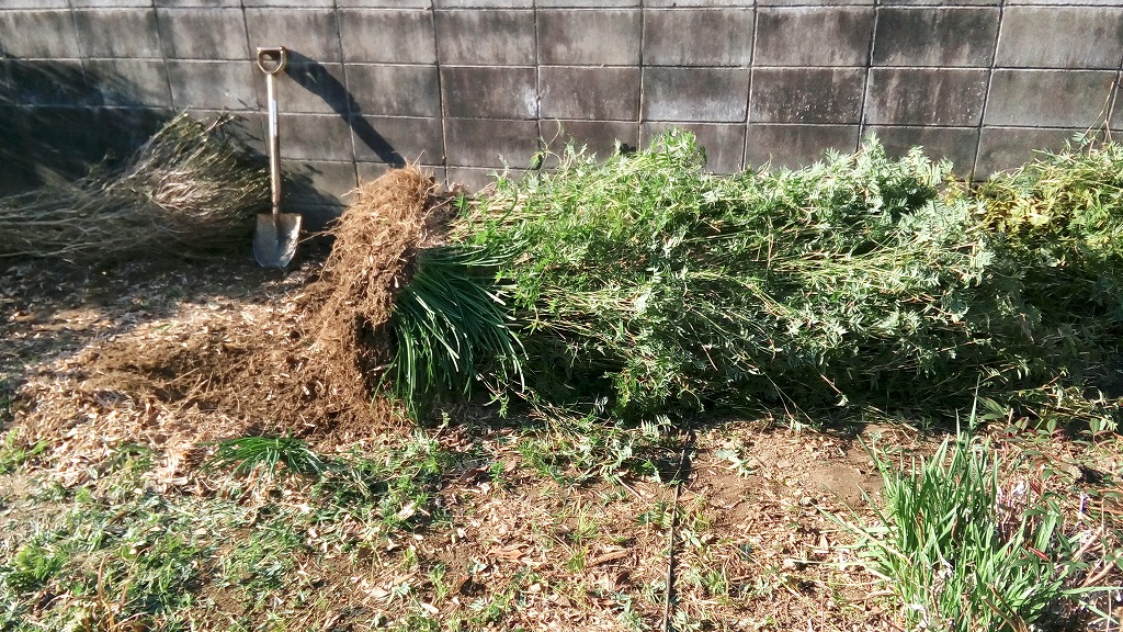 f:id:syakuyonotutu:20170129212053j:plain