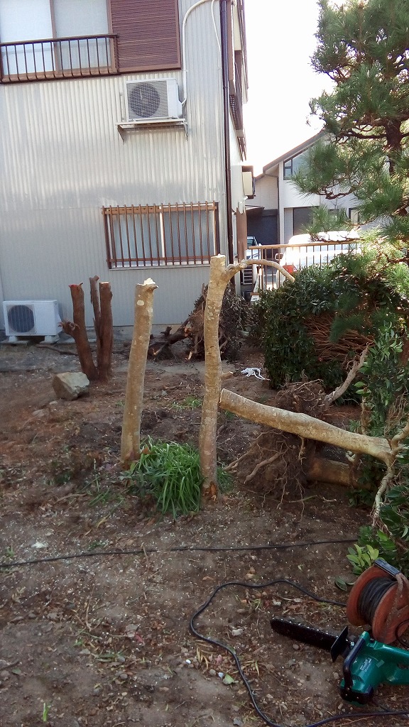 f:id:syakuyonotutu:20170129212407j:plain