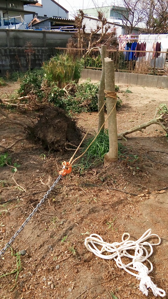 f:id:syakuyonotutu:20170129212454j:plain