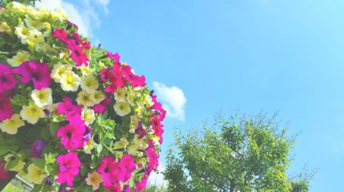 f:id:syamaguchi0730:20200930122254p:plain f:id:syamaguchi0730:20200930122254p:plain